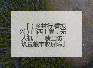 （乡村行·看振兴）山西上党：无人机“一喷三防”筑夏粮丰收屏障