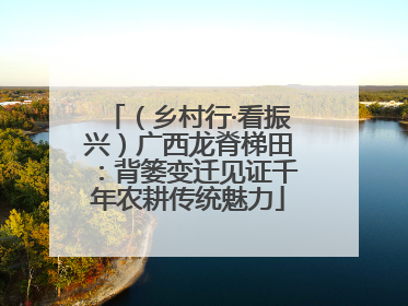 （乡村行·看振兴）广西龙脊梯田：背篓变迁见证千年农耕传统魅力