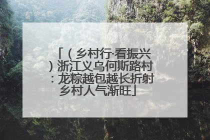 （乡村行·看振兴）浙江义乌何斯路村：龙粽越包越长折射乡村人气渐旺