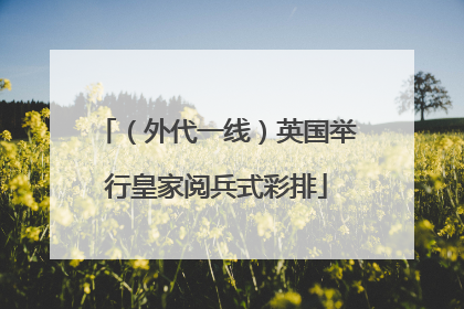 （外代一线）英国举行皇家阅兵式彩排