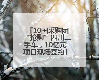 10国采购团“抢购”四川二手车，10亿元项目现场签约