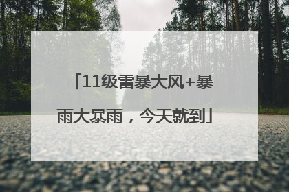 11级雷暴大风+暴雨大暴雨，今天就到