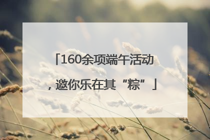 160余项端午活动，邀你乐在其“粽”