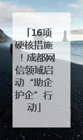 16项硬核措施！成都网信领域启动“助企护企”行动