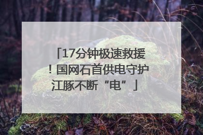 17分钟极速救援！国网石首供电守护江豚不断“电”