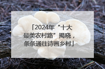 2024年“十大最美农村路”揭晓，条条通往诗画乡村