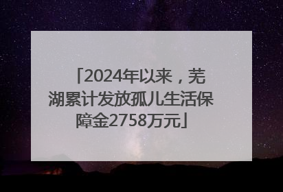 2024年以来，芜湖累计发放孤儿生活保障金2758万元