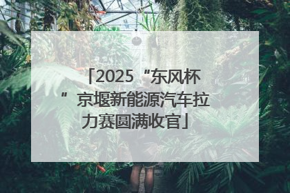 2025“东风杯”京堰新能源汽车拉力赛圆满收官