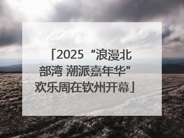 2025“浪漫北部湾 潮派嘉年华”欢乐周在钦州开幕