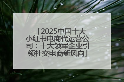 2025中国十大小红书电商代运营公司：十大领军企业引领社交电商新风向