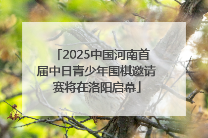 2025中国河南首届中日青少年围棋邀请赛将在洛阳启幕