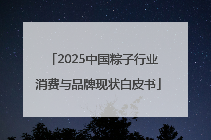 2025中国粽子行业消费与品牌现状白皮书