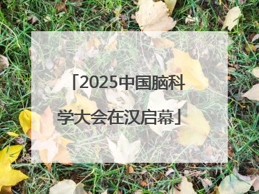 2025中国脑科学大会在汉启幕