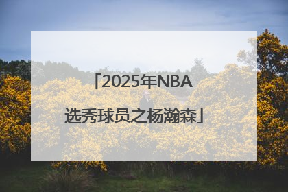 2025年NBA选秀球员之杨瀚森