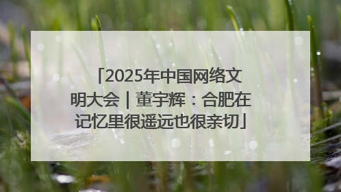 2025年中国网络文明大会｜董宇辉：合肥在记忆里很遥远也很亲切