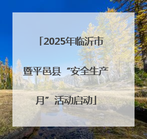 2025年临沂市暨平邑县“安全生产月”活动启动