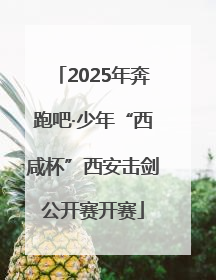 2025年奔跑吧·少年“西咸杯”西安击剑公开赛开赛