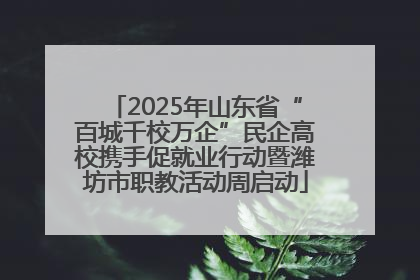2025年山东省“百城千校万企”民企高校携手促就业行动暨潍坊市职教活动周启动