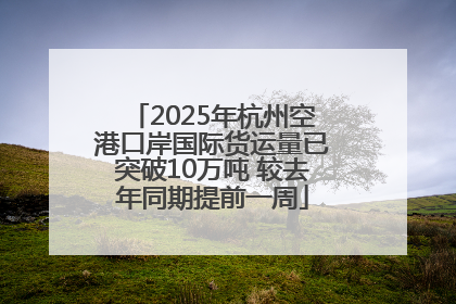 2025年杭州空港口岸国际货运量已突破10万吨 较去年同期提前一周