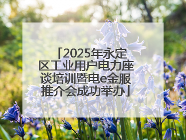 2025年永定区工业用户电力座谈培训暨电e金服推介会成功举办