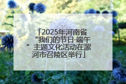 2025年河南省“我们的节日·端午”主题文化活动在漯河市召陵区举行