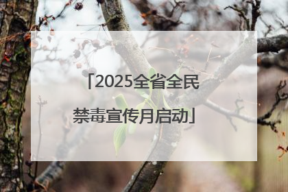 2025全省全民禁毒宣传月启动