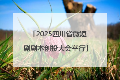 2025四川省微短剧剧本创投大会举行