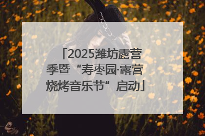 2025潍坊露营季暨“寿枣园·露营烧烤音乐节”启动