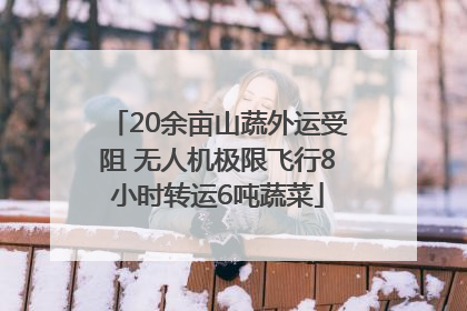 20余亩山蔬外运受阻 无人机极限飞行8小时转运6吨蔬菜