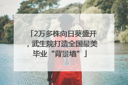 2万多株向日葵盛开，武生院打造全国最美毕业“背景墙”