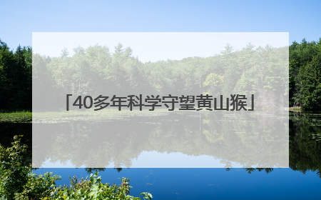 40多年科学守望黄山猴