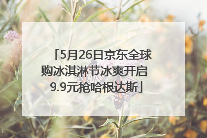 5月26日京东全球购冰淇淋节冰爽开启 9.9元抢哈根达斯