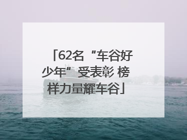 62名“车谷好少年”受表彰 榜样力量耀车谷