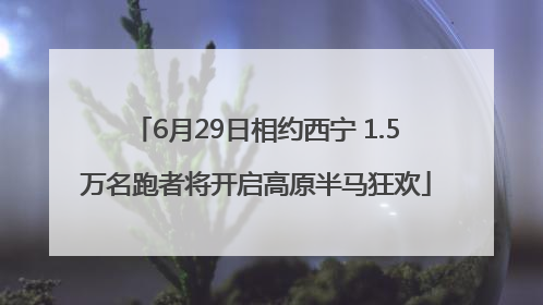 6月29日相约西宁 1.5万名跑者将开启高原半马狂欢