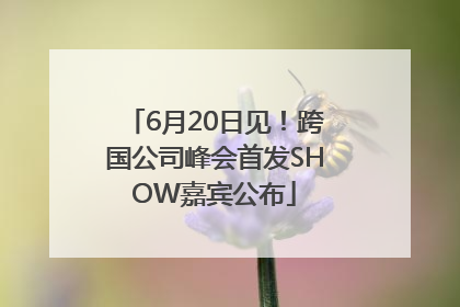 6月20日见！跨国公司峰会首发SHOW嘉宾公布