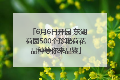 6月6日开园 东湖荷园500个珍稀荷花品种等你来品鉴