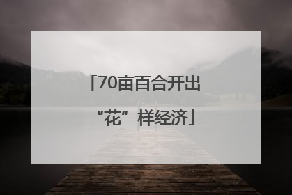 70亩百合开出“花”样经济