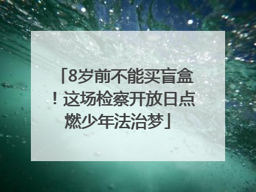 8岁前不能买盲盒！这场检察开放日点燃少年法治梦