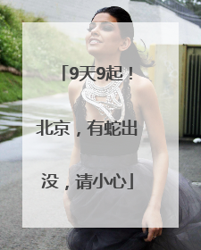 9天9起！北京，有蛇出没，请小心