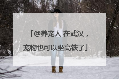 @养宠人 在武汉，宠物也可以坐高铁了