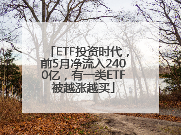 ETF投资时代，前5月净流入2400亿，有一类ETF被越涨越买