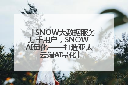 SNOW大数据服务万千用户，SNOW AI量化——打造亚太云端AI量化