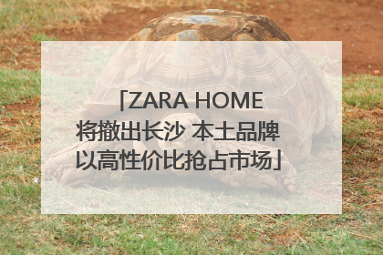 ZARA HOME将撤出长沙 本土品牌以高性价比抢占市场
